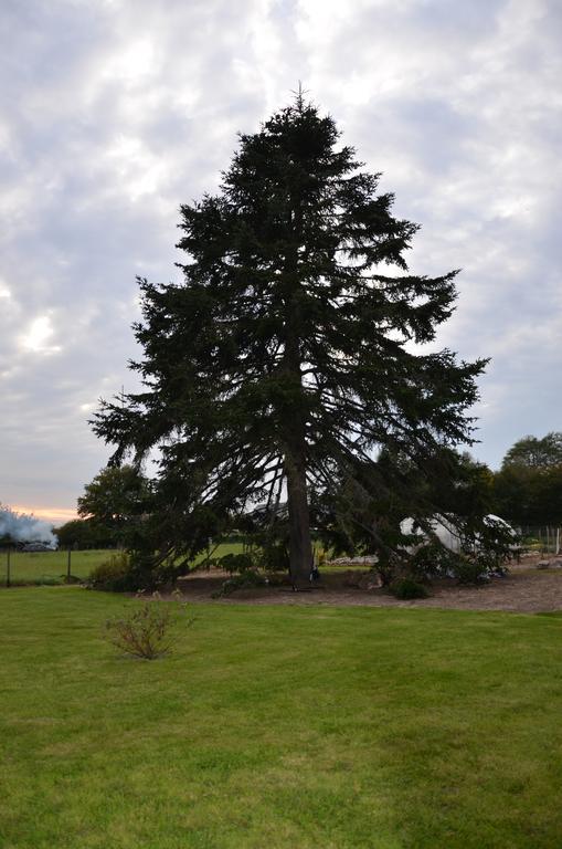La Grange De La Gandonnerie Villa Bauge-en-Anjou Bagian luar foto